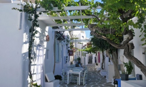 Zdjecie GRECJA / Cyklady / Naoussa - pera Paros / W oczekiwaniu na turystw..