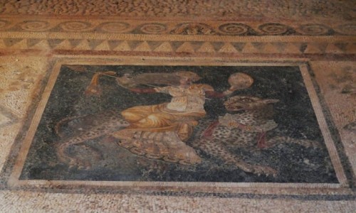 Zdjcie GRECJA / Cyklady / Wyspa Delos / Delos - jedna z wielu mozaik