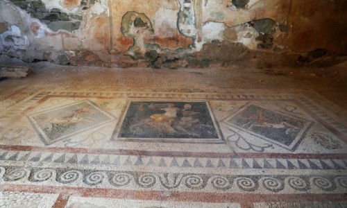 Zdjcie GRECJA / Cyklady / Wyspa Delos / Mozaiki z Delos