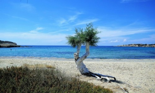 Zdjęcie GRECJA / Cyklady / Wyspa Antiparos / Chwila wytchnienia  na Antiparos