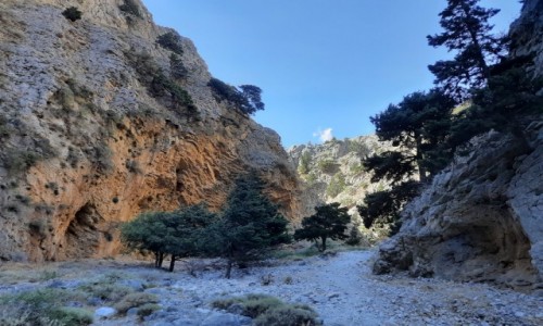 Zdjcie GRECJA / Poudniowa Kreta  / Imbros / Wwz Imbros Knossos