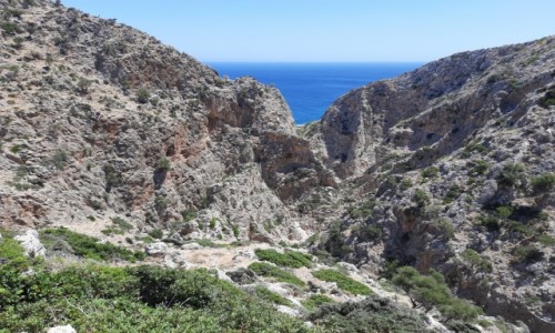 Zdjcie GRECJA / Kreta / Pwysep Akrotiri  / Wwz Avlaki 