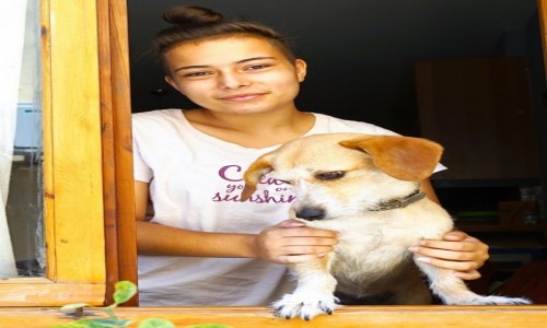 Zdjęcie GRECJA / Kreta / Rethimno, / Dziewczyna z pieskiem