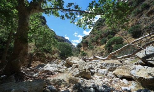 Zdjecie GRECJA / Kreta / Topolia / Wwz