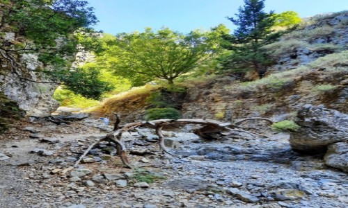 Zdjcie GRECJA / Kreta / Wwz Imbros / Przeszkoda