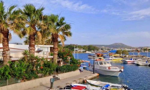 Zdjcie GRECJA / Rodos / Faliraki / May porcik