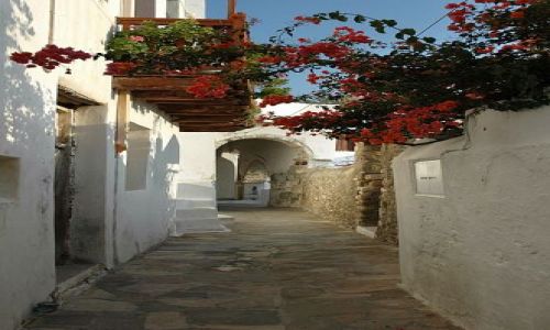 Zdjecie GRECJA / Cyklady / Naxos / kwiecista uliczka