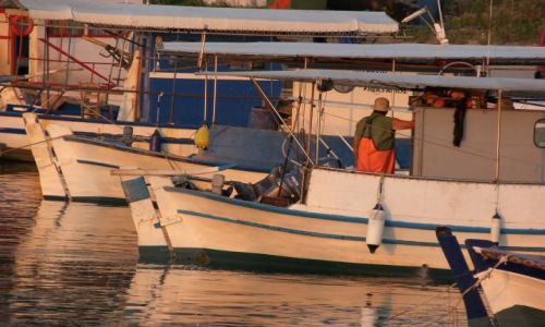 Zdjęcie GRECJA / Półwysep Chalkidiki / Sithonia / Wyprawa po ryby