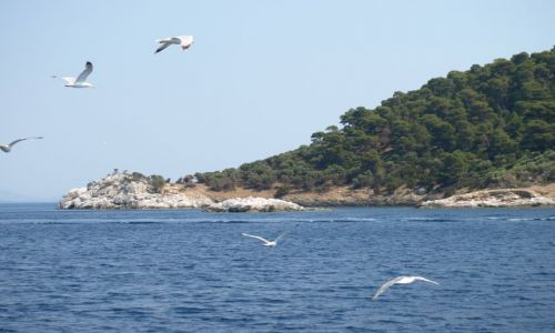 Zdjcie GRECJA / chalkidiki / Kelifos / OGON ӣWIA - koniec wyspy