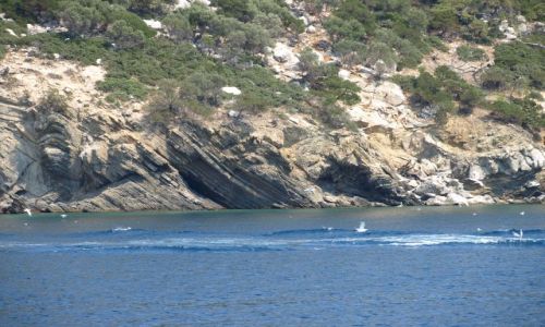 Zdjcie GRECJA / Chalkidiki / kelifos / 