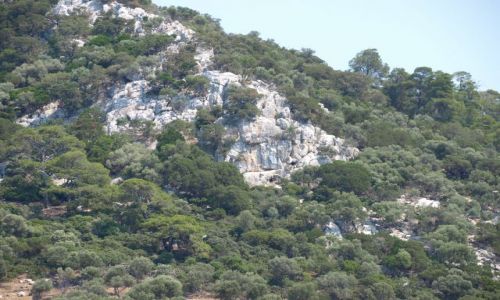 Zdjcie GRECJA / Chalkidiki / kelifos / zbocze wyspy