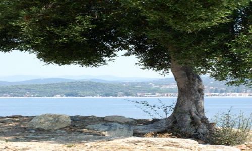 Zdj�cie GRECJA / Chalkidiki / sithonia / z l�du