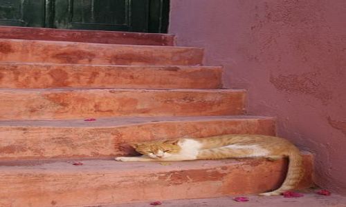 Zdjecie GRECJA / brak / Kreta / V