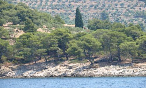 Zdjęcie GRECJA / Chalkidiki / sithonia / po drodze do Agios Georgios