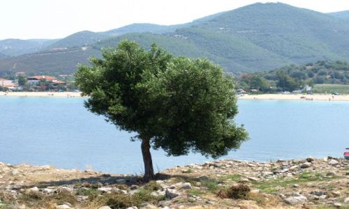 Zdjęcie GRECJA / Chalkidiki / sithonia / a ja tu jeszcze postoję
