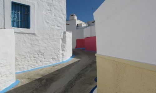 Zdjecie GRECJA / Wyspa Rodos / Archangelos / uliczka