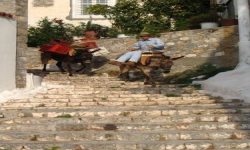 Zdjecie GRECJA / brak / wyspa Hydra, Grecja / Dostawa towaru...