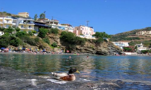 Zdjęcie GRECJA / Kreta / Bali ( miasteczka portowe) / Znowu przyjechali...