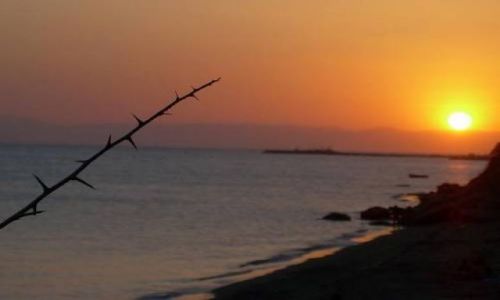 Zdjecie GRECJA / Pwysep Chalkidiki / Kalikratia / zachd soca