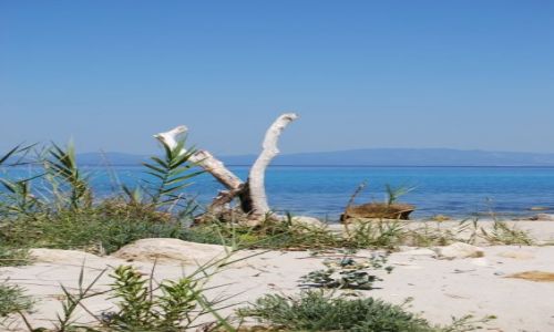Zdjecie GRECJA / Pwysep Chalkidiki / Kriopigi / Bezludna plaza 4