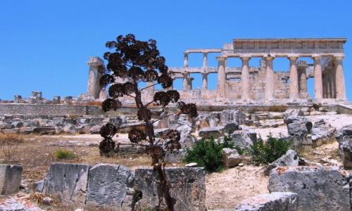 Zdjecie GRECJA / Cylkady / Wyspa Aegina / witynia Aphaea'i 