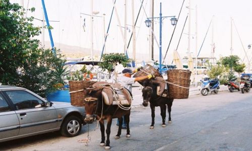Zdjęcie GRECJA / Epidawros / ulica nadbrzeżna / Dostawca warzyw