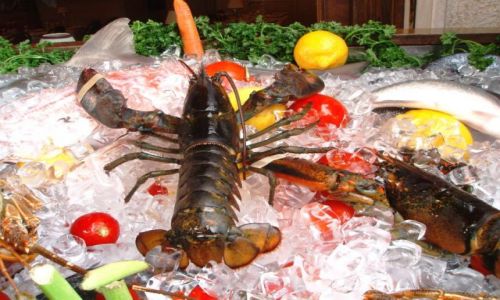 Zdjecie GRECJA / Tolo / wystawa przy jednej z restauracji / Owoce morza (w.: frutti di mare) 