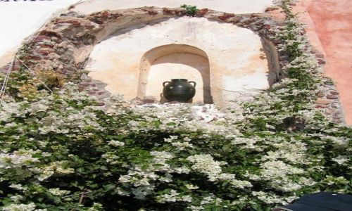 Zdjecie GRECJA / Santorini / Ol / Dzban