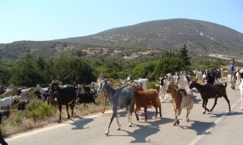 Zdjcie GRECJA / Rodos / Prasonissi / Blokada