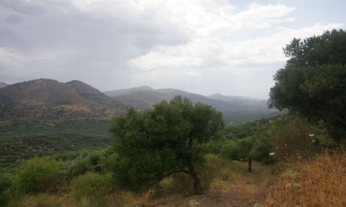 Zdjecie GRECJA / Kreta / patrz mapa / Po burzy