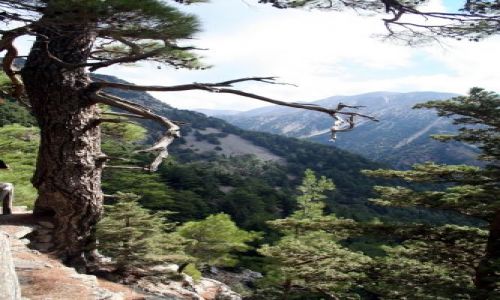 Zdjecie GRECJA / Samaria, Kreta / Kreta / Wąwóz Samaria 1