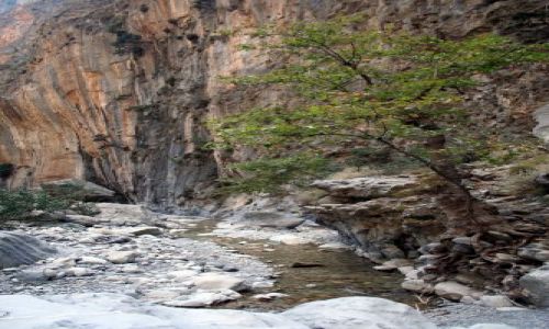 Zdjęcie GRECJA / Samaria, Kreta / Kreta / Wąwóz Samaria 5