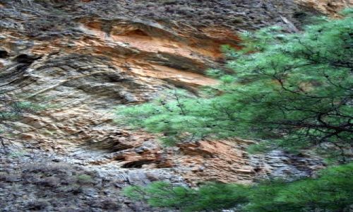 Zdjecie GRECJA / Samaria, Kreta / Kreta / Wwz Samaria 6
