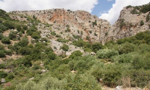 Zdjęcie GRECJA / Kreta / Kritsa / Wąwóz Kritsa