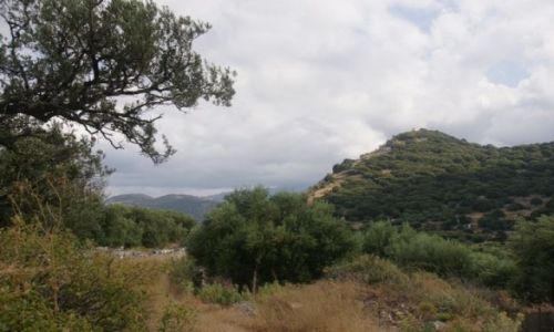 Zdjęcie GRECJA / Kreta / okolice Skinias / Makia I