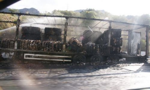 Zdjęcie GRECJA / Kreta / Vrachassio / Po pożarze