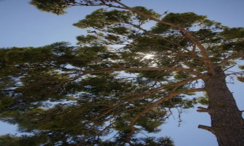 Zdjęcie GRECJA / Kreta / Agia Triada / Widoki z Fajstos III