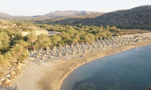 Zdjcie GRECJA / Kreta / Vai / Plaa  w Vai IV