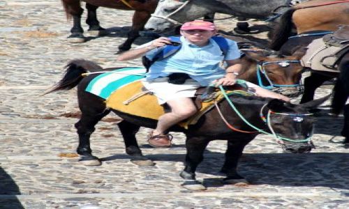 Zdjecie GRECJA / Cyklady, Santorini / Fira / Bush na wakacjach :-)