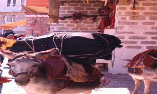 Zdjęcie GRECJA / Wyspy Sarońskie na Morzu Egejskim / wysoa Idra /  objuczony osiołek