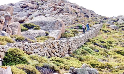 Zdj�cie GRECJA / Dilos / Dilos / Droga na szczyt, do ruin �wi�tyni na Dilos 