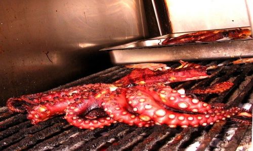 Zdjęcie GRECJA / Nomarchia Pireus - region Attyka / Wyspy Sarońskie - Egina / nieapetyczne