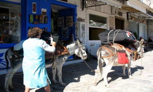 Zdjęcie GRECJA / Nomarchia Pireus - region Attyka / Wyspy Sarońskie - Egina / ponad siły