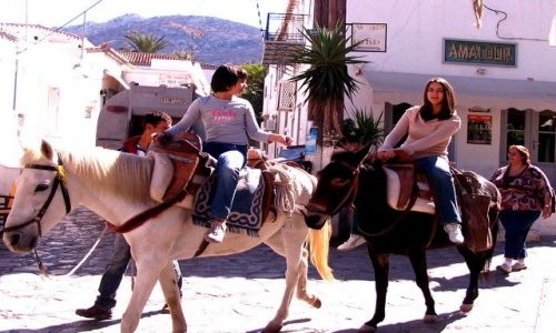 Zdjęcie GRECJA / Nomarchia Pireus - region Attyka / Wyspy Sarońskie - Egina / środek lokomocji