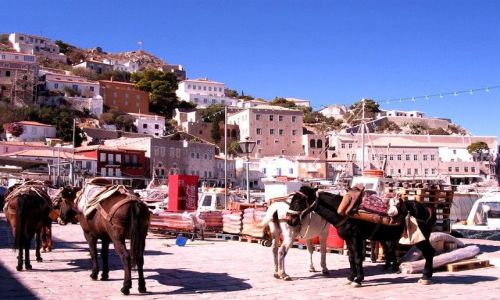 Zdjęcie GRECJA / Nomarchia Pireus - region Attyka / Wyspy Sarońskie  / osada  na wyspie nad Zatoką Sarońska