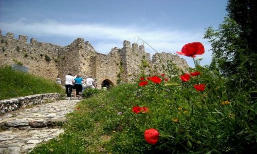 Zdjecie GRECJA / Tesalia / Zamek w Platamonas / Wiosna na zamku
