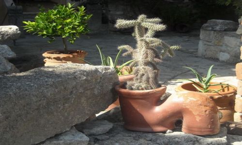 Zdjecie GRECJA / Chalkidiki/Pw. Kassandra / Afitos / uronie wszdzie