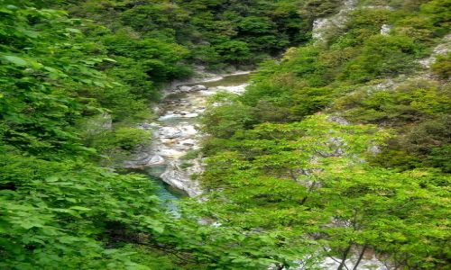 Zdjęcie GRECJA / Tesalia / Dol. Mavrologos / Wąwóz Enipeas