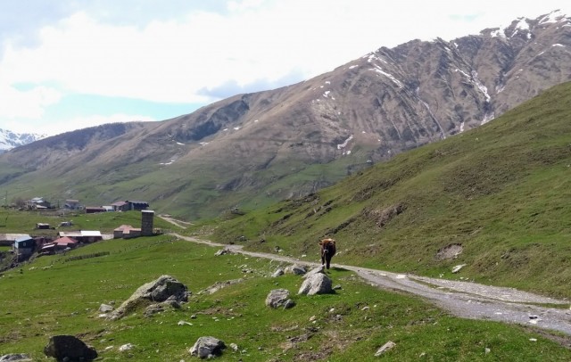 Zdj cia: Ushguli, Swanetia, Czy ten byk to krowa ? :), GRUZJA Zdj cia: Ushguli, Swanetia, Czy ten byk to krowa ? :), GRUZJA