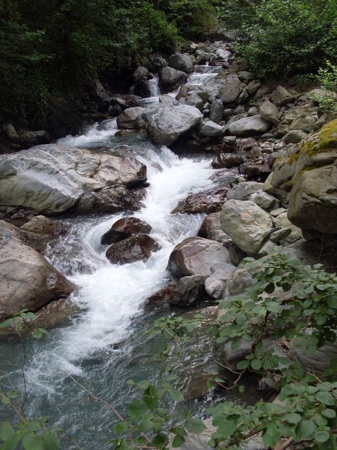 Zdjęcia: Park Narodowy Lagodechi, Kachetia, przy granicy z Dagestanem, ... pantha rei..., GRUZJA Zdjęcia: Park Narodowy Lagodechi, Kachetia, przy granicy z Dagestanem, ... pantha rei..., GRUZJA